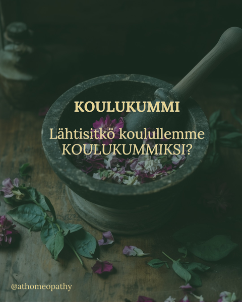 Product image of  KOULUKUMMI