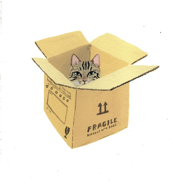 Product image of  Laatikkokissa