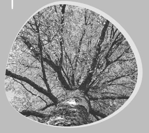 Product image of  Kaiu, kevät -  Lapsi ja opiskelija