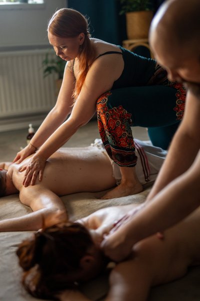 Product image of  Paritantrahieronta