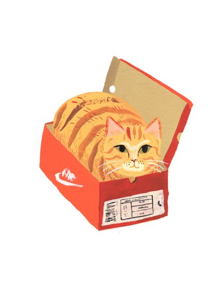 Product image of  Kenkälaatikkokissa