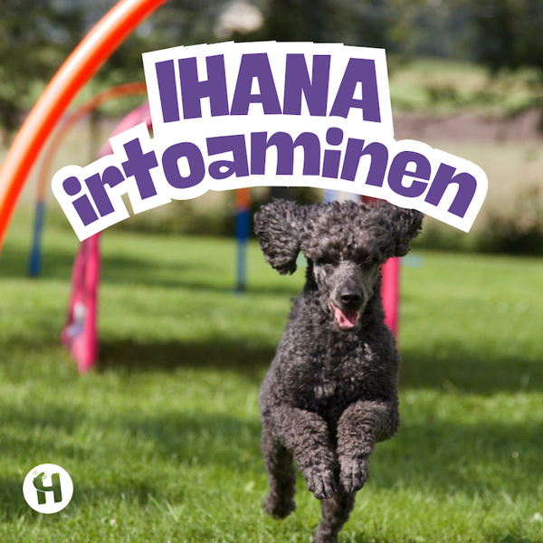 Product image of  Ihana irtoaminen -etävalmennus