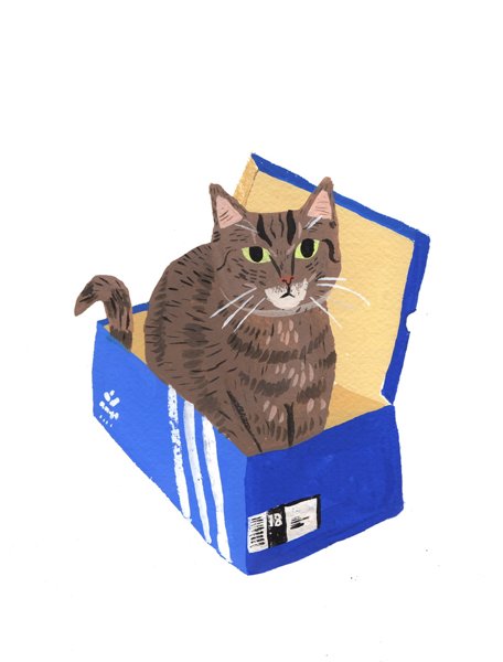 Product image of  Kenkälaatikkokissa