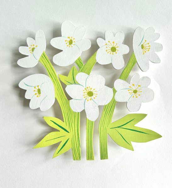 Product image of  Valkovuokot