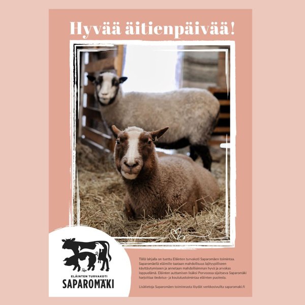 Product image of  Lahja äidille