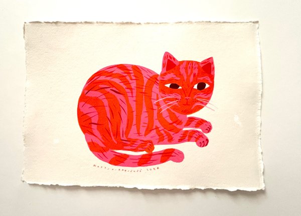 Product image of  Pinkkioranssi kissa