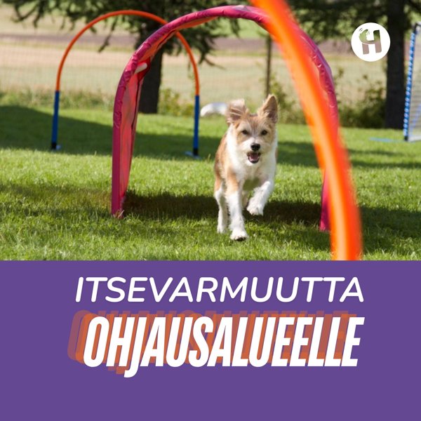 Product image of  Itsevarmuutta ohjausalueelle 4.6. klo 18