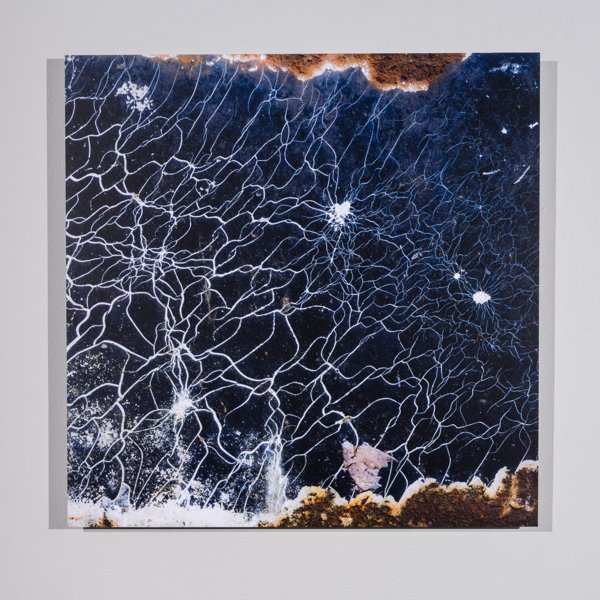 Product image of Viimeinen yhteys, 50 x 50 cm, 2021, valokuvataulu, editio 1/5