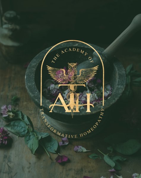 Product image of  ATH MASTERCLASS EARLY BIRD 3888€ (by May 15th, 2026)