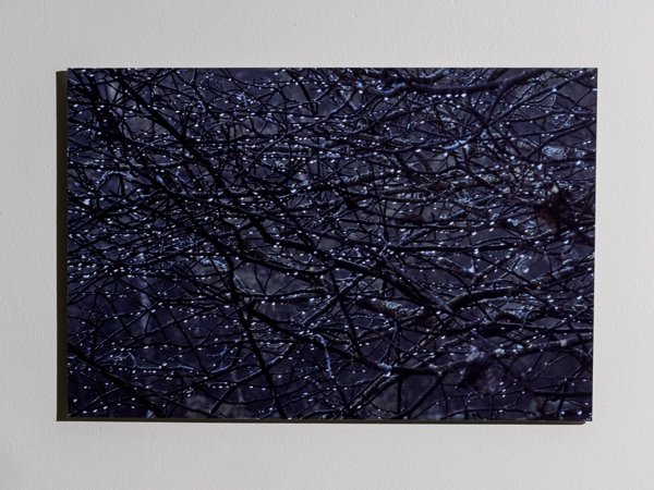 Product image of Vesipisarat, 40 x 60 cm, valokuvataulu, editio 1/25