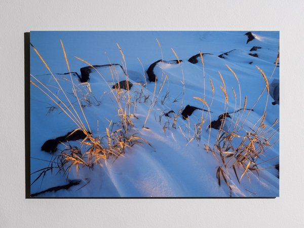 Product image of Talviset heinät, 40 x 60 cm, valokuvataulu, editio 1/25