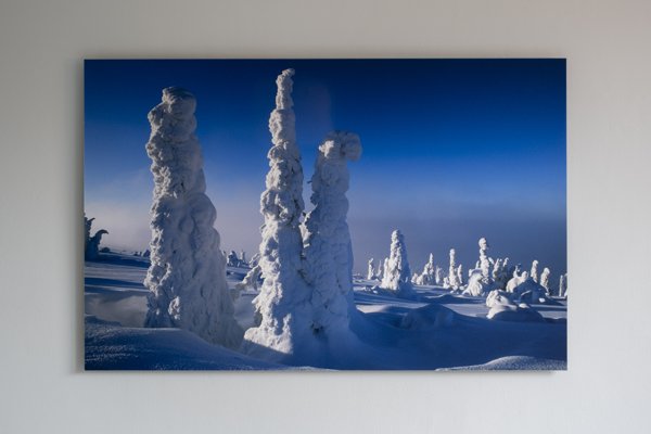 Product image of Tykkukuuset, 58 x 90 cm, valokuva alumiinille, editio 1/5