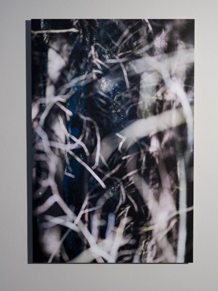 Product image of Romeikko, -valokuvataulu, 105 x 70 cm, editio 1/5