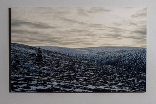 Product image of Ensilumi tunturissa, 50 x 80 cm, valokuvataulu, editio 1/25