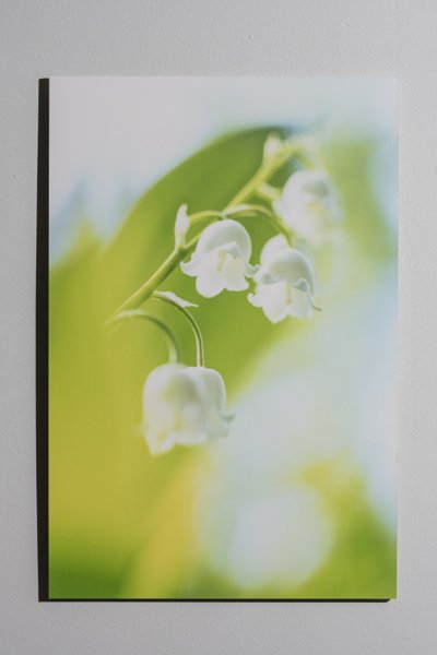 Product image of Kielo, 60 x 40 cm, valokuvataulu, editio 1/25