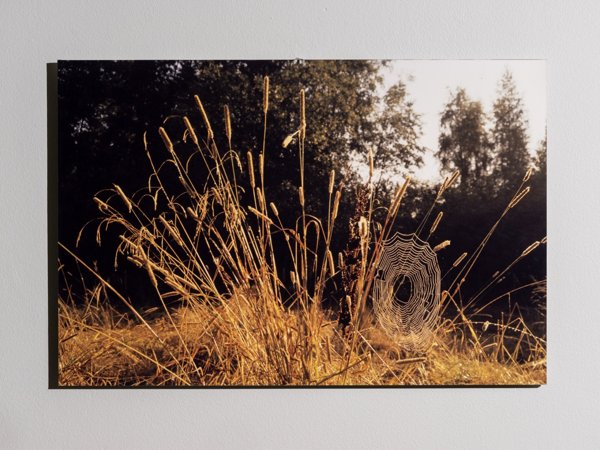 Product image of Seitti pellolla, 40 x 60 cm, valokuvataulu, editio 1/25