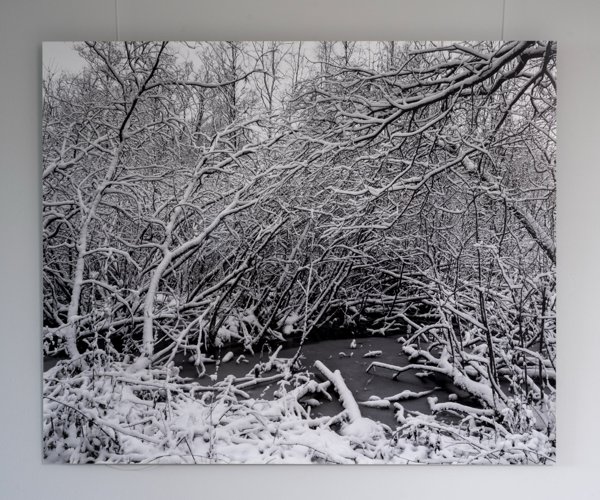 Product image of Pajut, 100 x 120 cm, valokuva alumiinille, editio 1/5