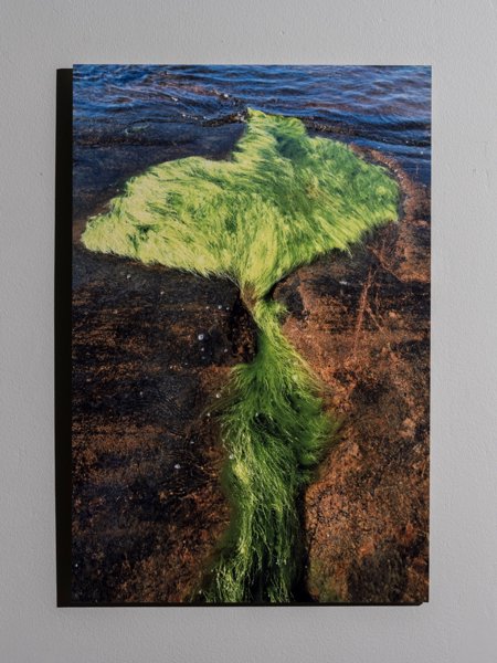 Product image of Ahdinpartaa, 60 x 40 cm, 2001/2009, editio 1/25