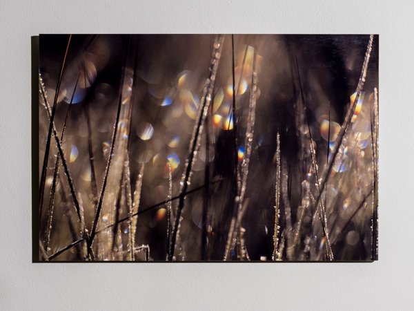 Product image of Kastetta heinikossa, 40 x 60 cm, valokuvataulu, editio 1/25