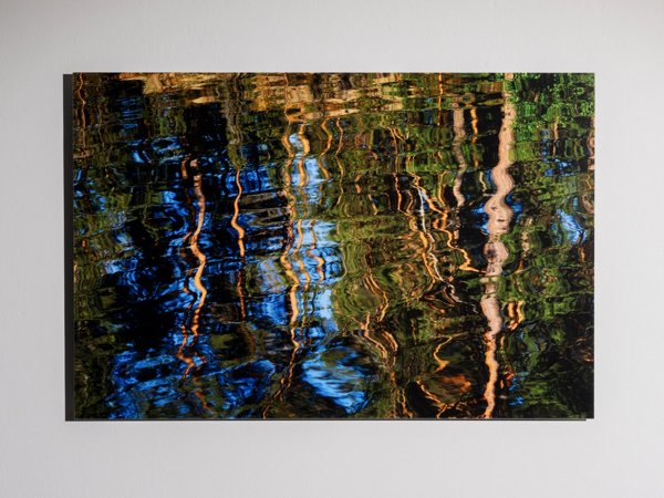 Product image of Heijastuva metsä, 58 x 90 cm, valokuva alumiinille, editio 1/5