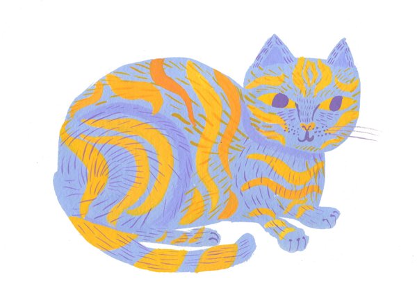 Product image of  Sinioranssi kissa