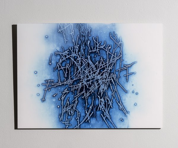 Product image of Kuuraa ikkunassa, 40 x 55 cm, valokuvataulu, editio 1/25