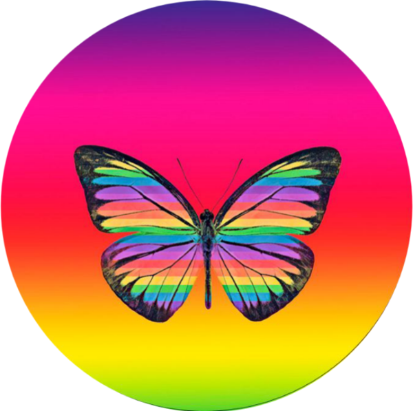 Product image of  Varkaus Pride perhos pinssi