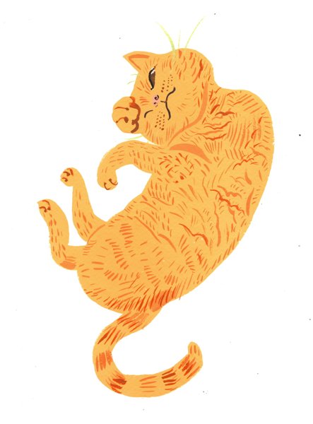 Product image of  Kiemurteleva kissa