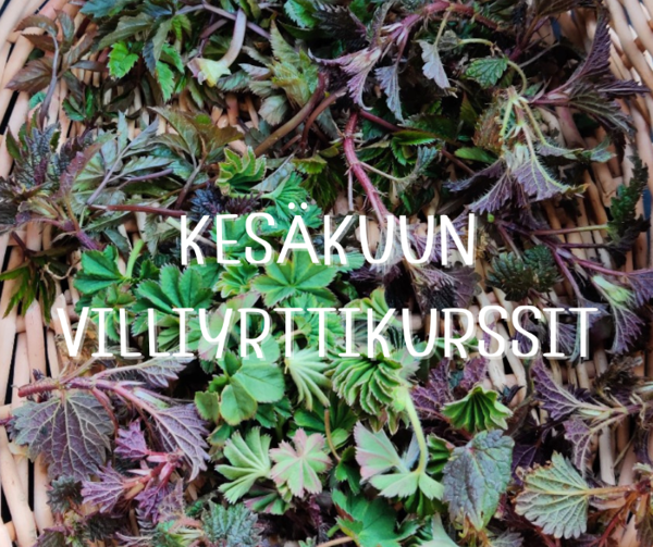Product image of  VILLIVIHANNES- JA VILLIYRTTIKURSSI MA 25.5. KUOPIO