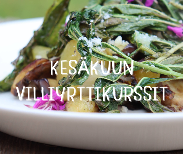 Product image of  RUOKAA VILLIYRTEISTÄ TO 11.6.