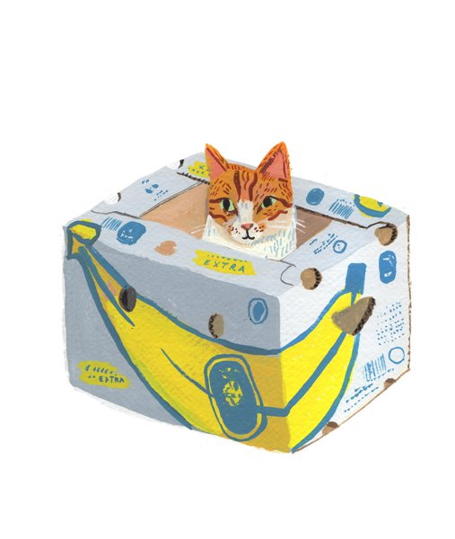 Product image of  Banaanilaatikkokissa