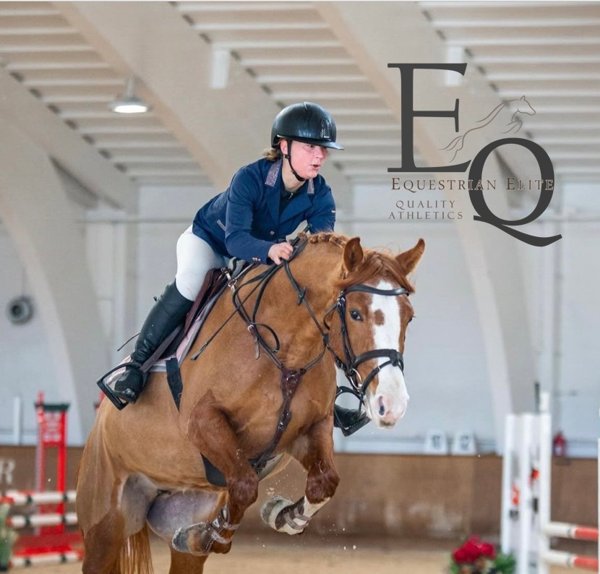 Product image of  EQ Elite kilpailupaketti