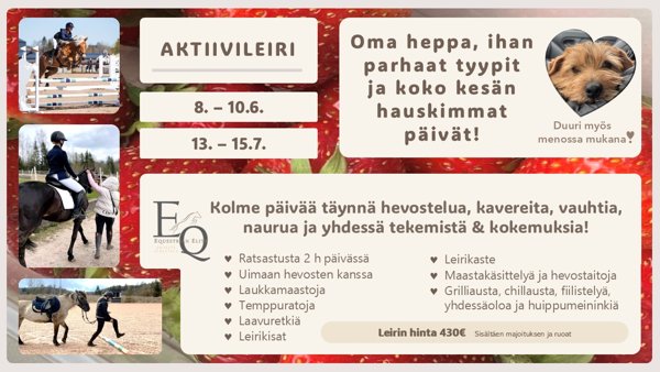 Product image of  Leirille ilmoittautumisesta - AKTIIVILEIRI 13. – 15.7.26