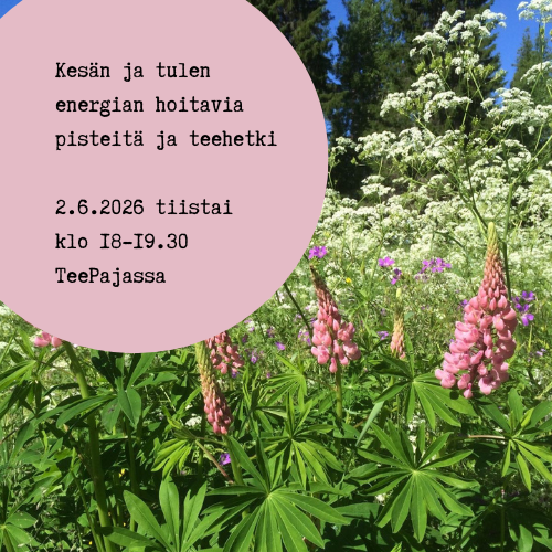 Product image of  Kesän ja tulen energian hoitava teehetki Teepajassa ti 2.6.