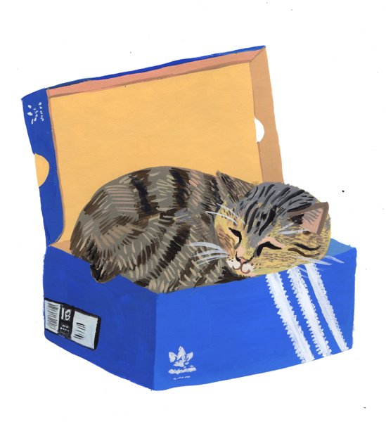 Product image of  Kenkälaatikkokissa