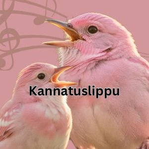 Product image of  Kevätkonsertti 1.6. Kannatuslippu – Supporter ticket