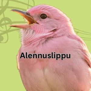 Product image of  Kevätkonsertti 1.6. Alennuslippu – Discount ticket