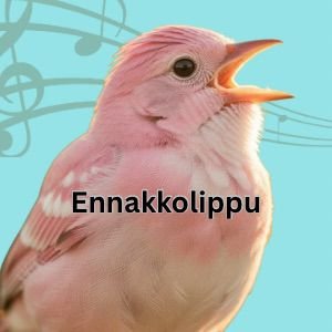 Product image of  Kevätkonsertti 1.6. Ennakkolippu – Advance ticket