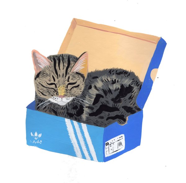 Product image of  Kenkälaatikkokissa