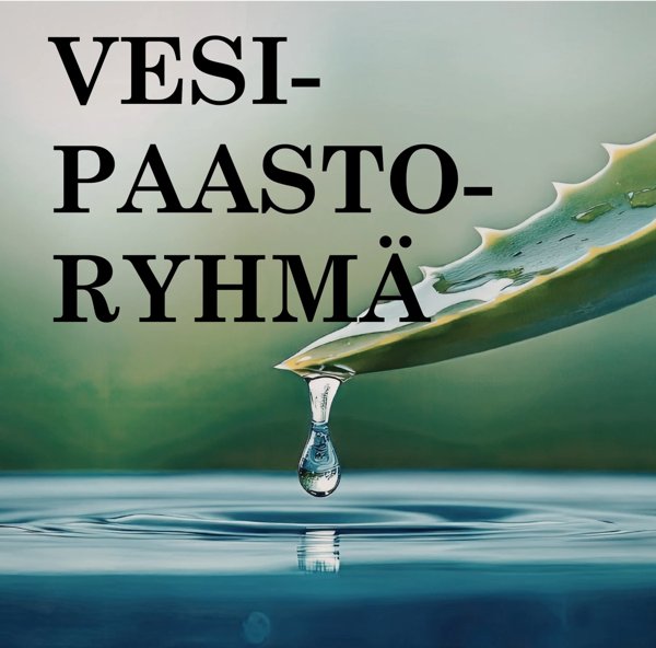 Product image of  Vesipaastoryhmä 1 kk (ryhmävalmennus)