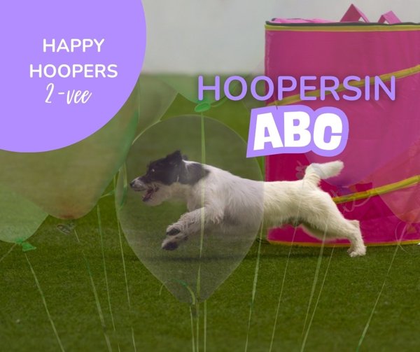 Product image of Hoopersin ABC -webinaari 13.7.2026