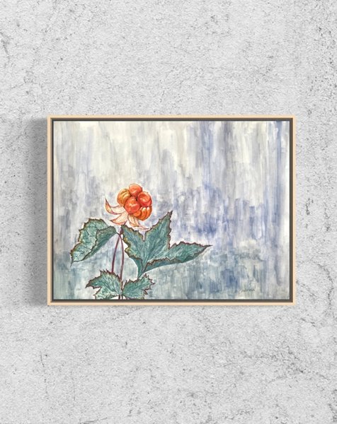 Product image of Cloudberry