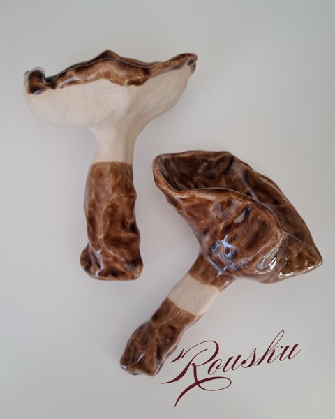 Product image of  Mushroom - Rousku tumma