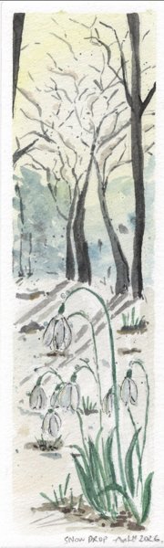 Product image of Snowdrop