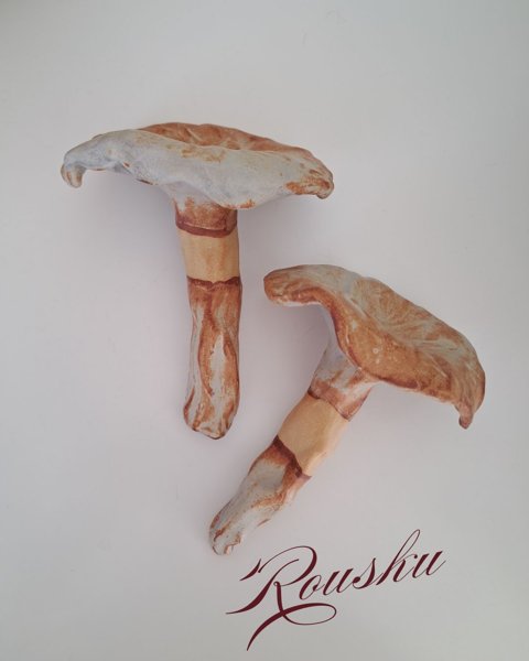 Product image of  Mushroom - Rousku vaalea