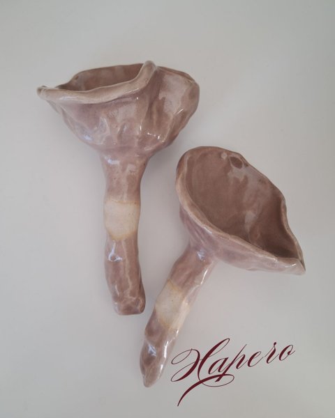 Product image of  Mushroom - Hapero