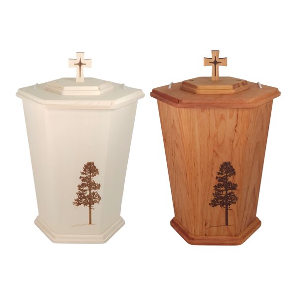 Product image of Pohjantähden alla