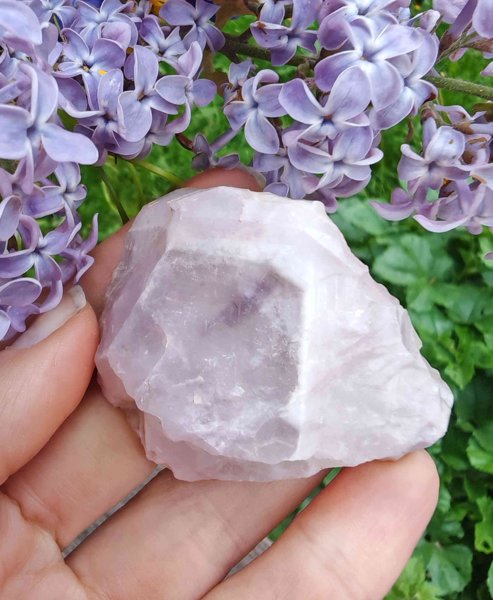 Product image of Revontuli Ametisti