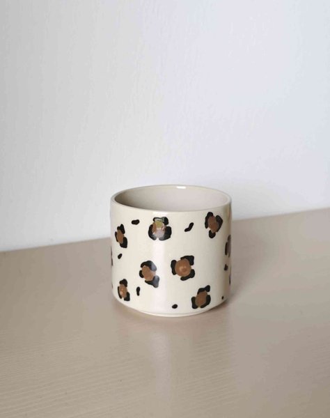 Product image of Kuppi
