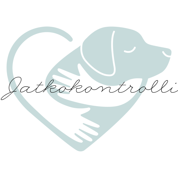 Product image of  Jatkokontrolli – 45 min